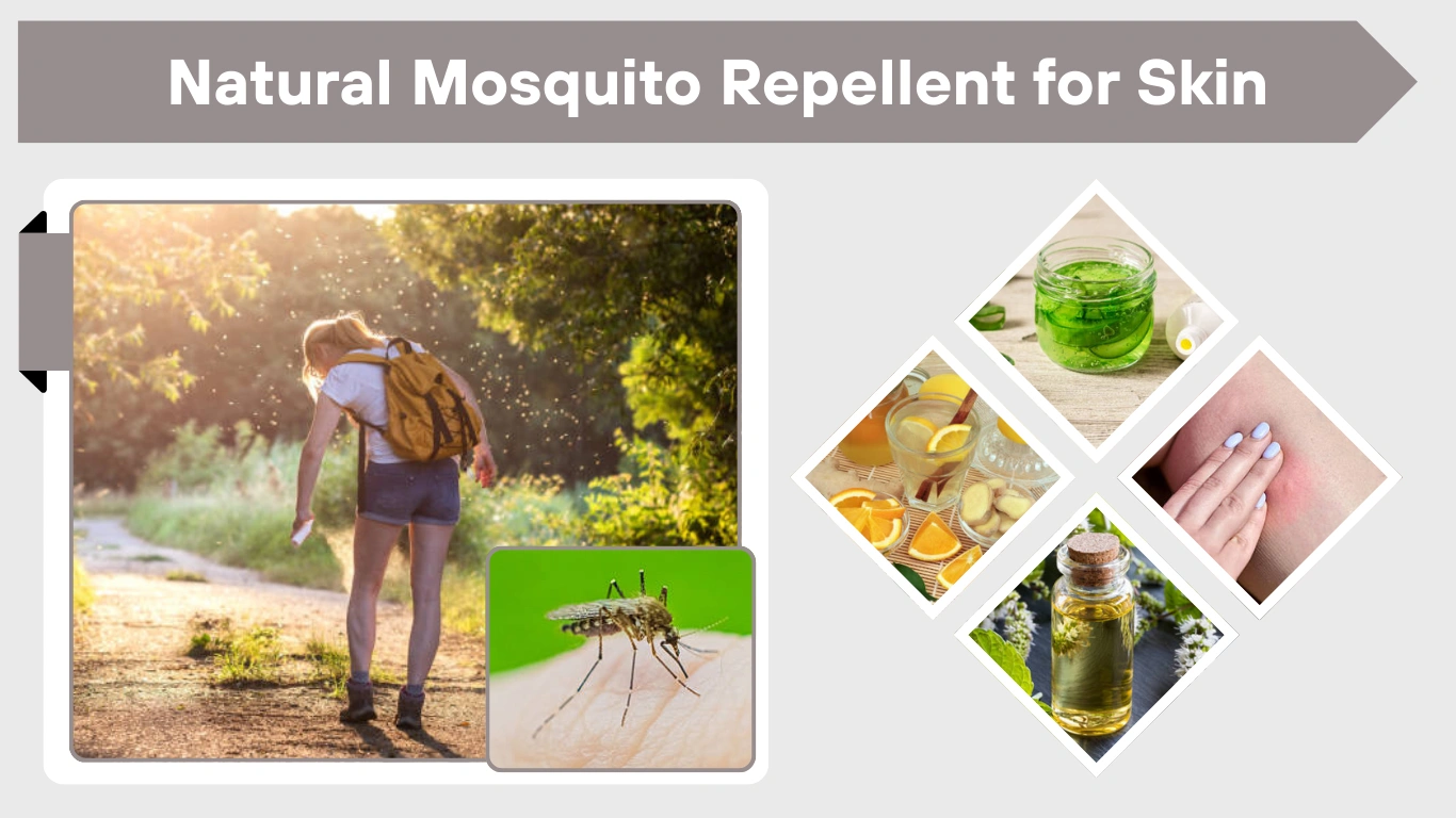 Natural Mosquito Repellent for Skin: Safe and Effective DIY Options