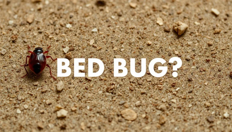what kills bed bugs instantly and permanently (Complete guide)
