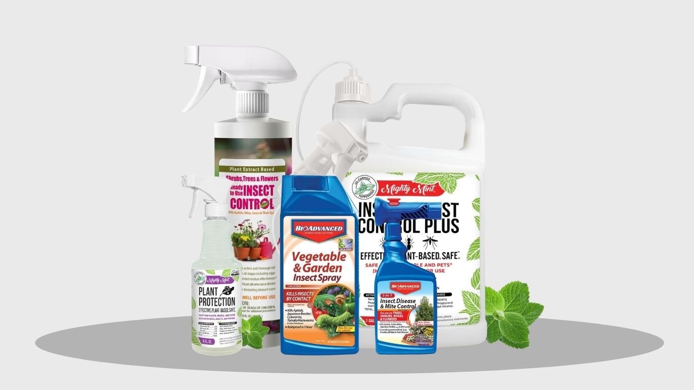 7 Best Plant Insect Repellent Sprays for Healthy Gardens