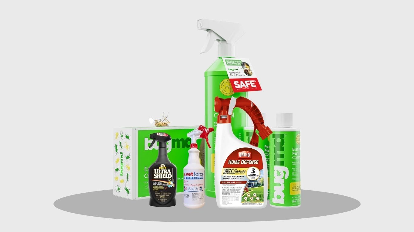 8 Best Flying Insect Sprays for Fast and Effective Control