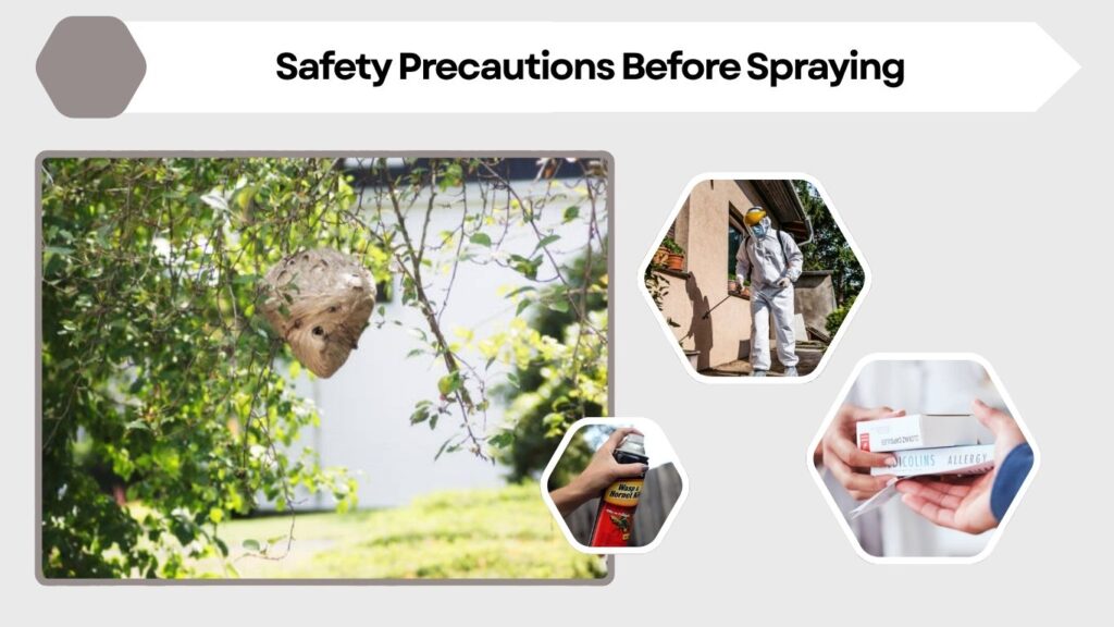 Safety Precautions Before Spraying