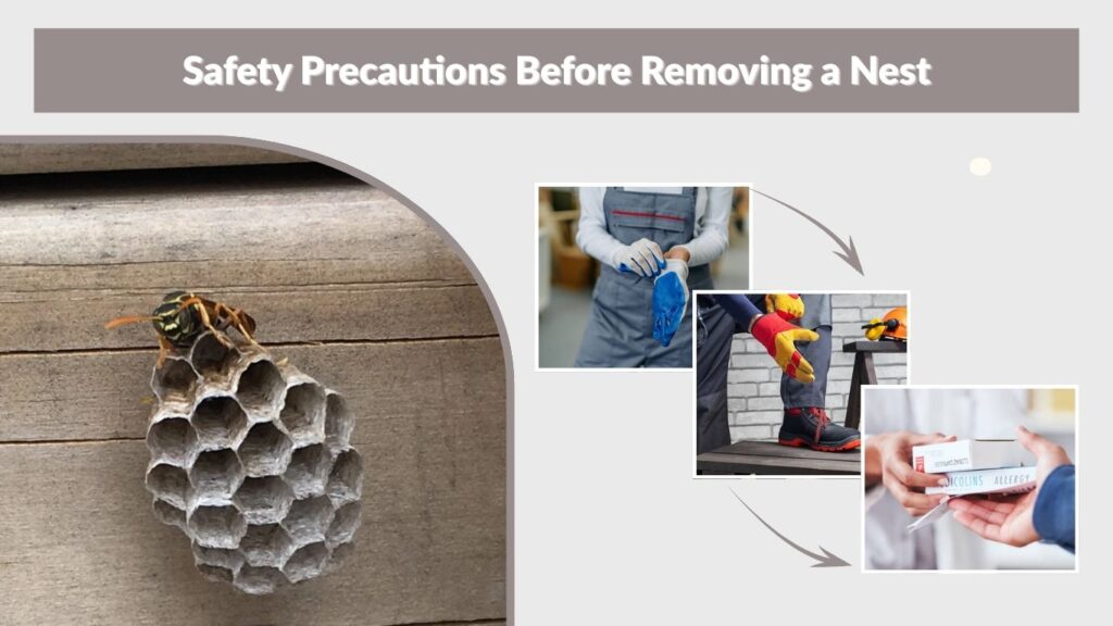 Safety Precautions Before Removing a Nest
