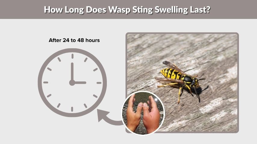 How Long Does Wasp Sting Swelling Last?