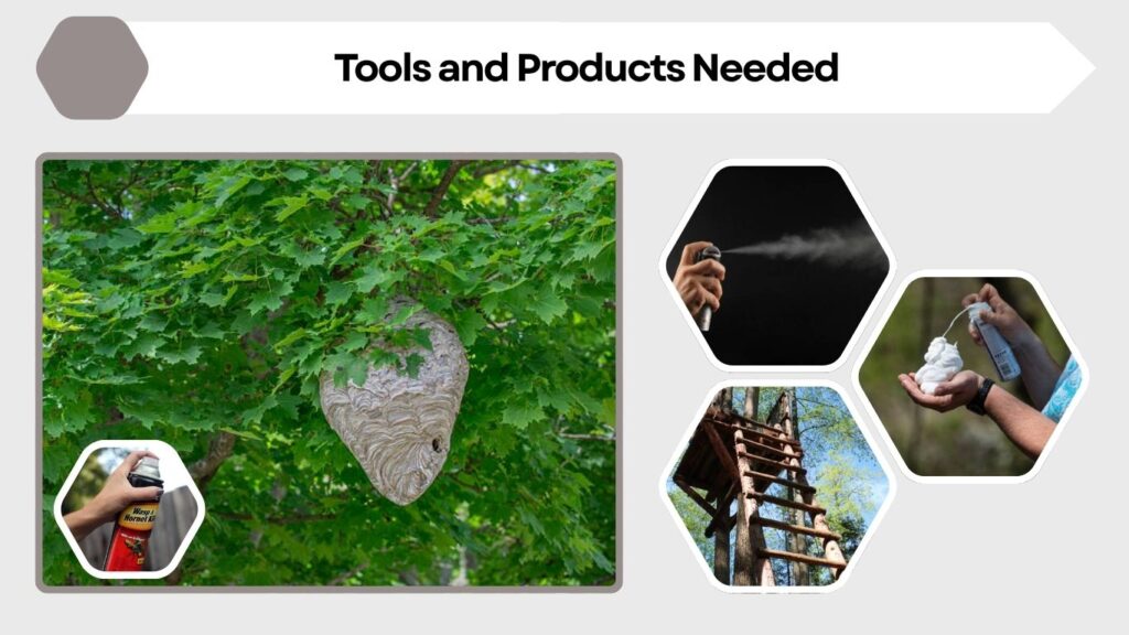 Tools and Products Needed