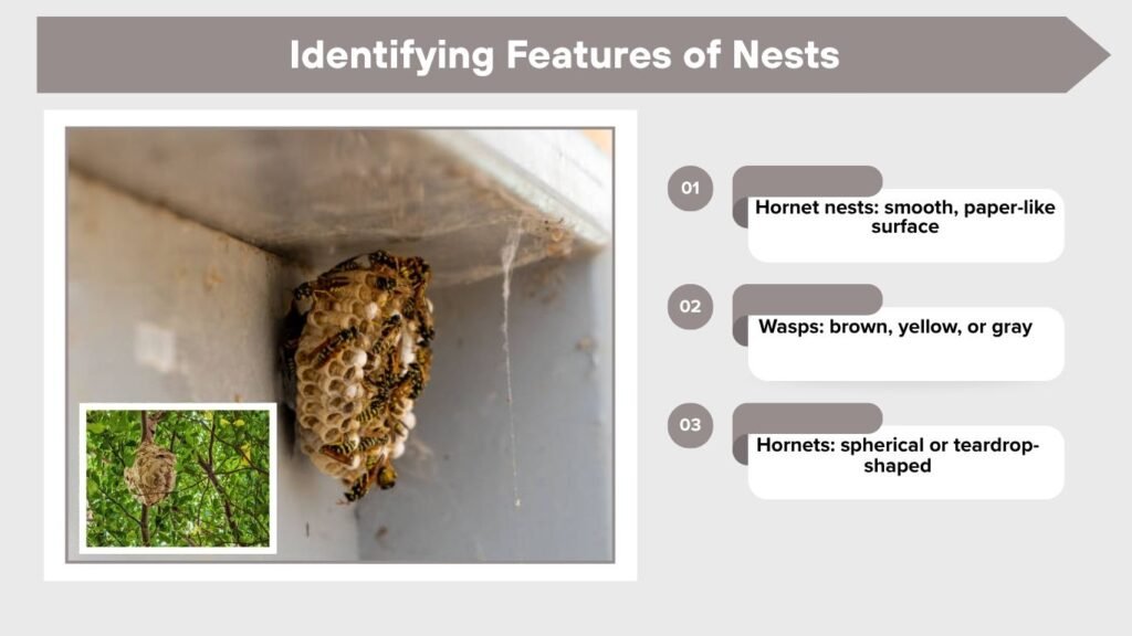Identifying Features of Nests