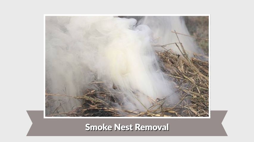 Smoke Nest Removal