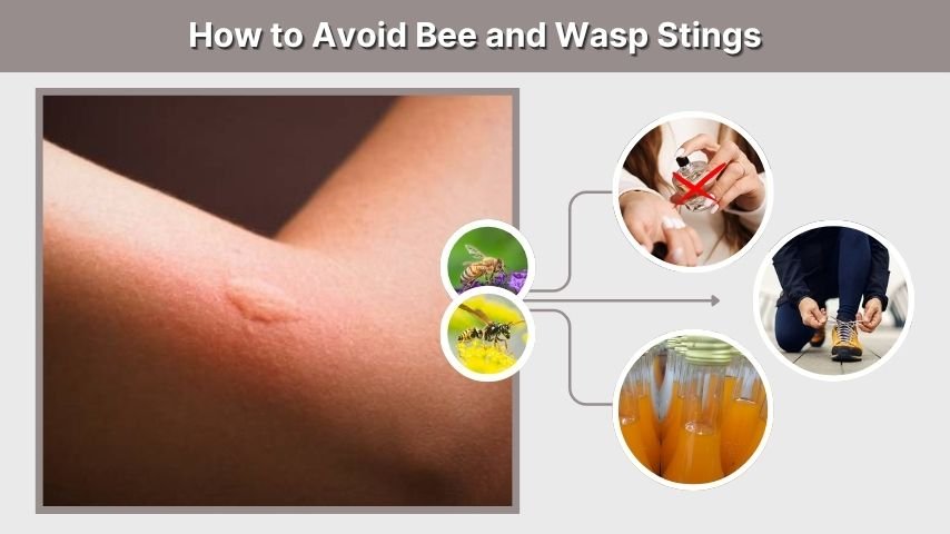 How to Avoid Bee and Wasp Stings