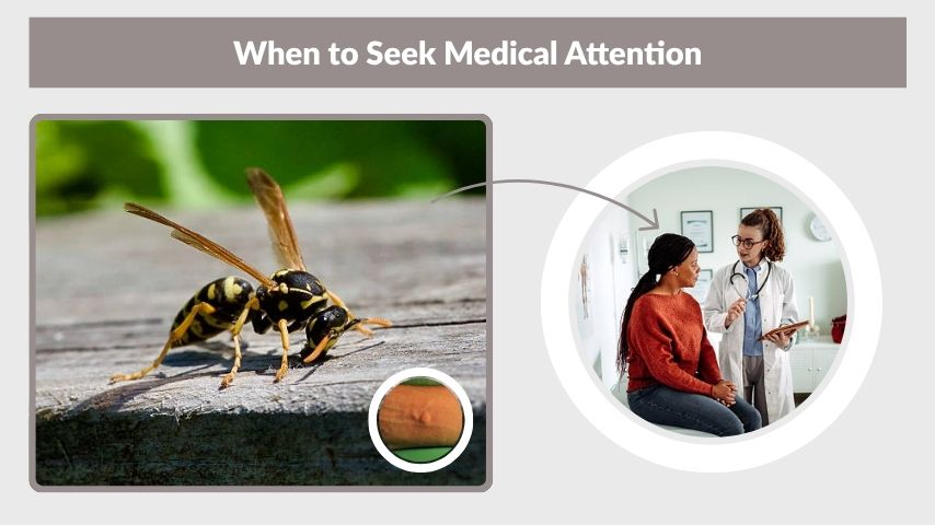 When to Seek Medical Attention