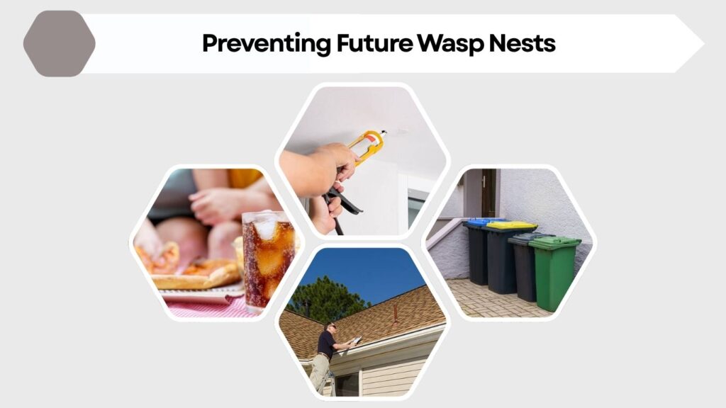 Preventing Future Wasp Nests
