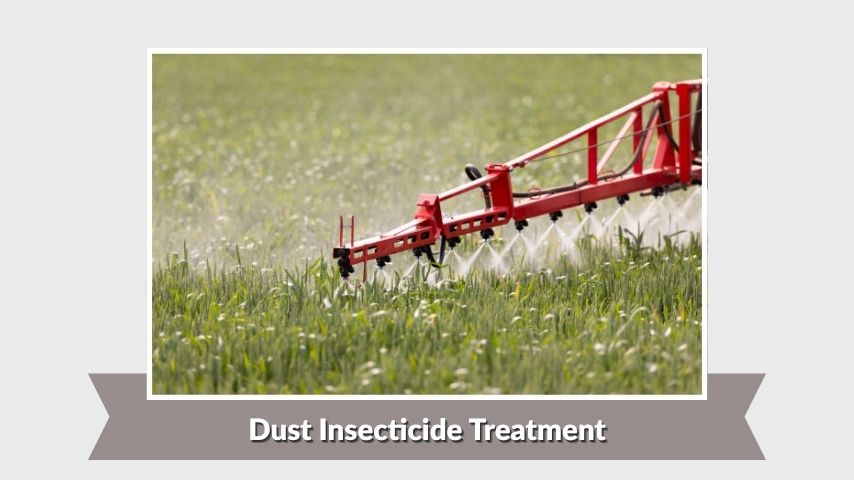 Dust Insecticide Treatment