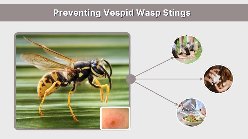 Preventing Vespid Wasp Stings