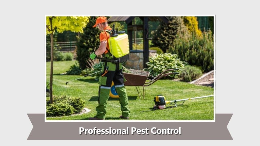 Professional Pest Control