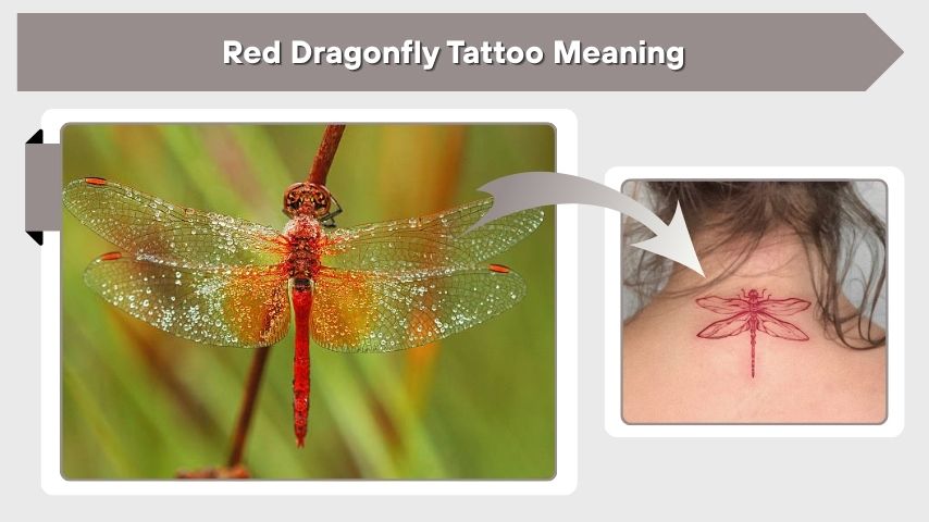 Red Dragonfly Tattoo Meaning