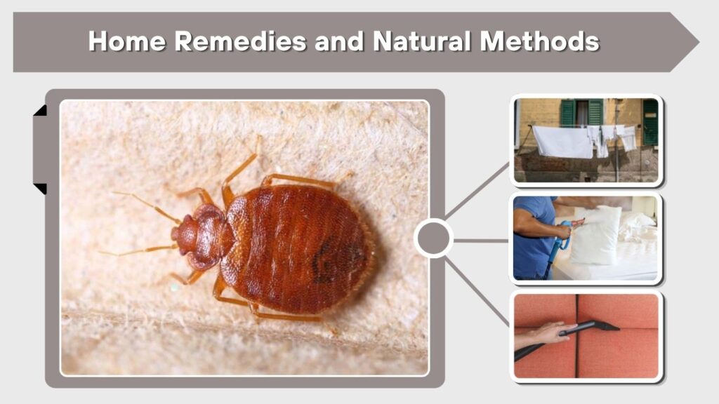 Home Remedies and Natural Methods