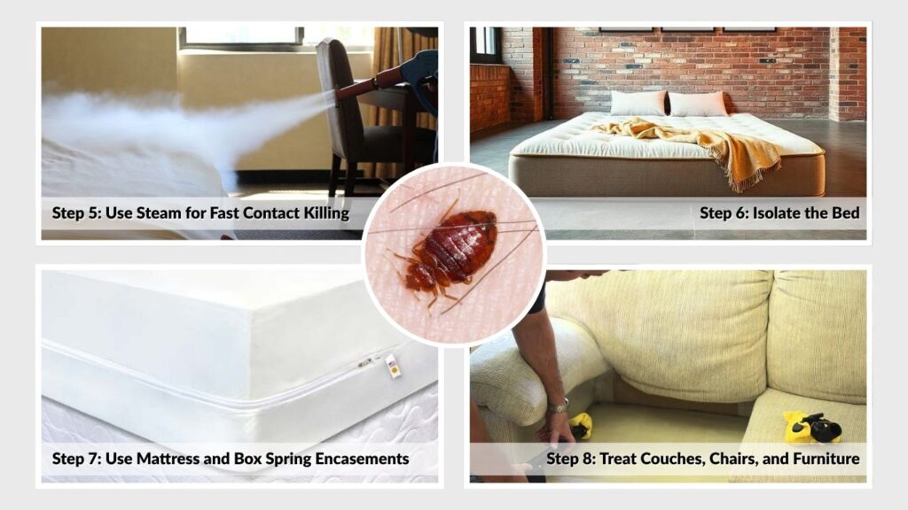 Step 6: Isolate the Bed