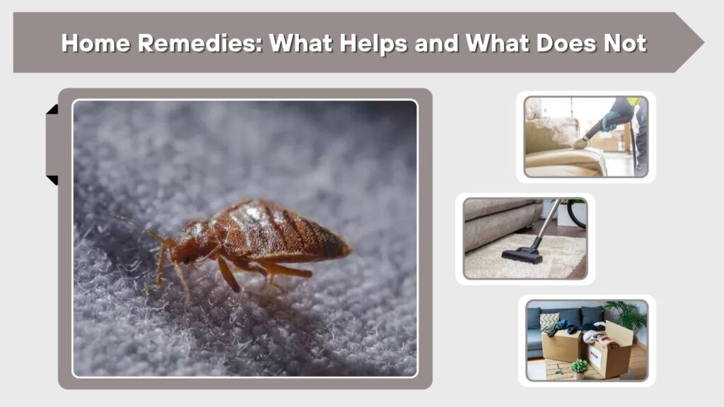 Home Remedies: What Helps and What Does Not