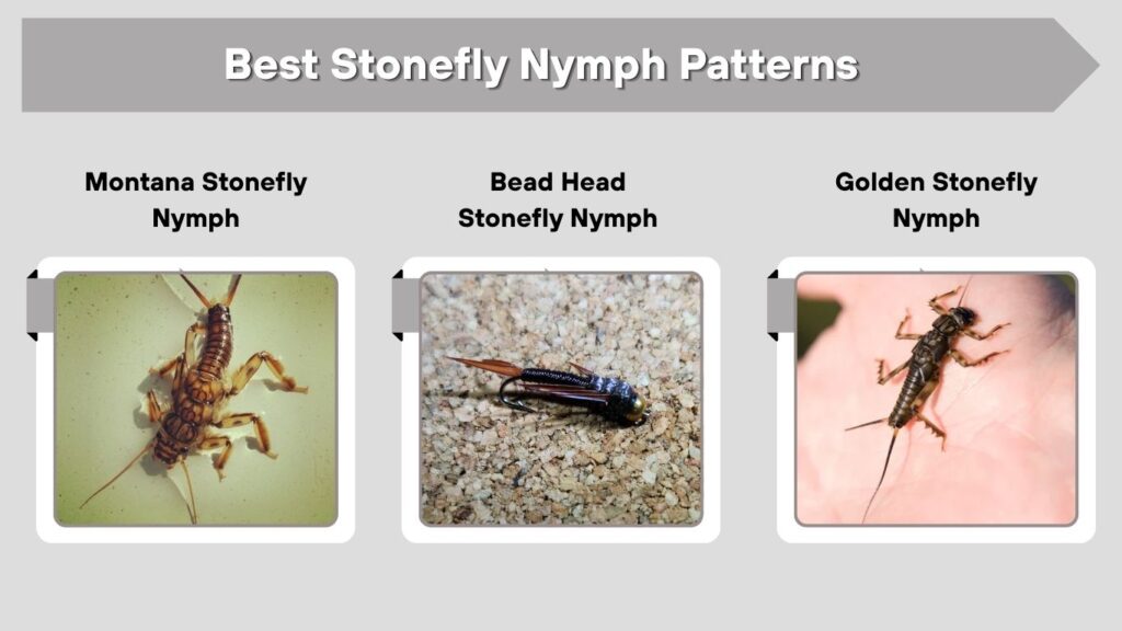 Best Stonefly Nymph Patterns