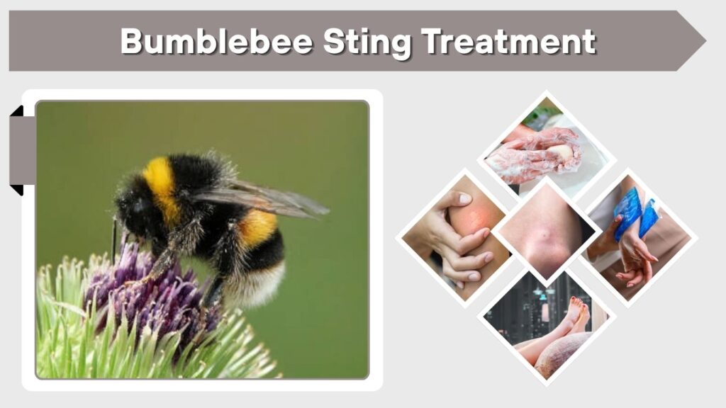 Avoiding scratching the sting site