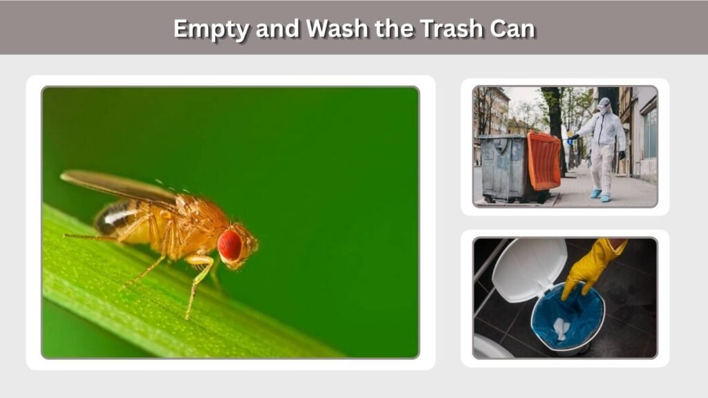 Empty and Wash the Trash Can