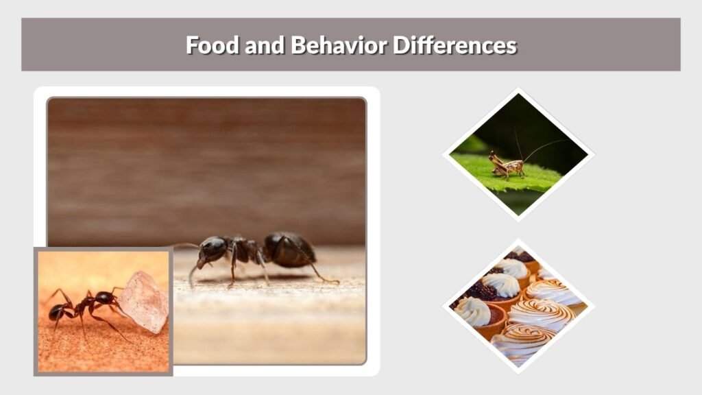 Food and Behavior Differences