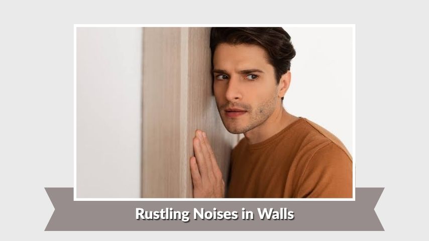Rustling Noises in Walls