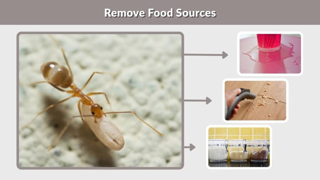 Remove Food Sources