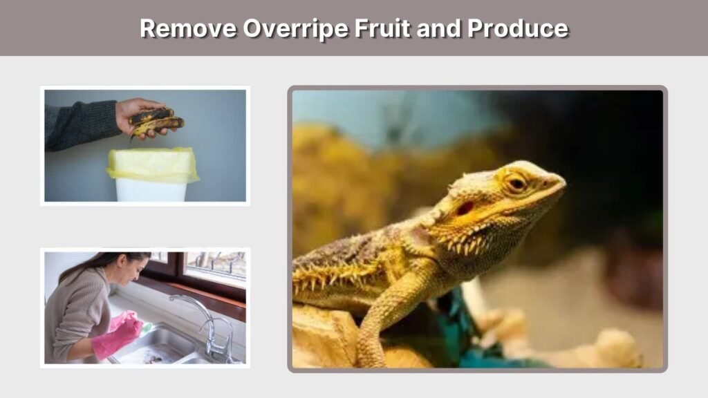 Remove Overripe Fruit and Produce