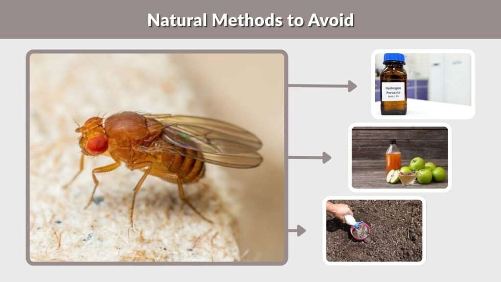 Natural Methods to Avoid
