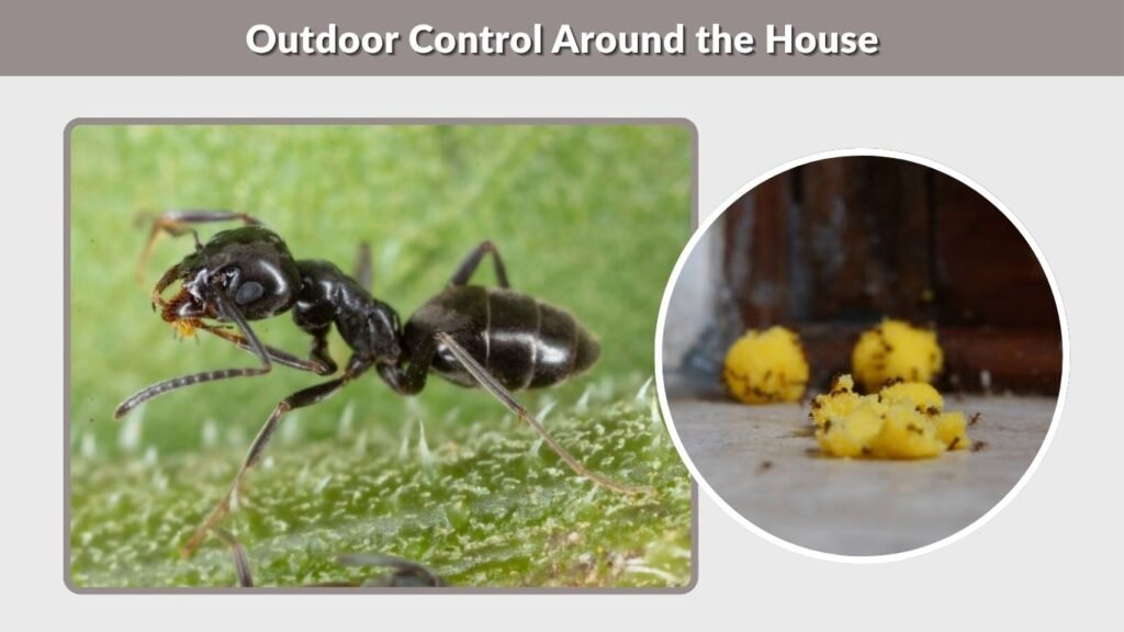 Outdoor Control Around the House