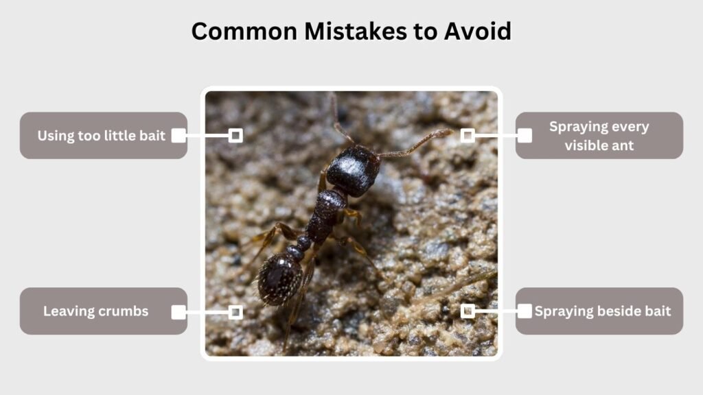 Common Mistakes to Avoid