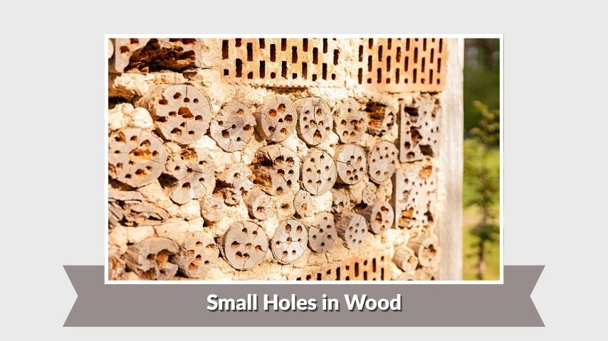 Small Holes in Wood