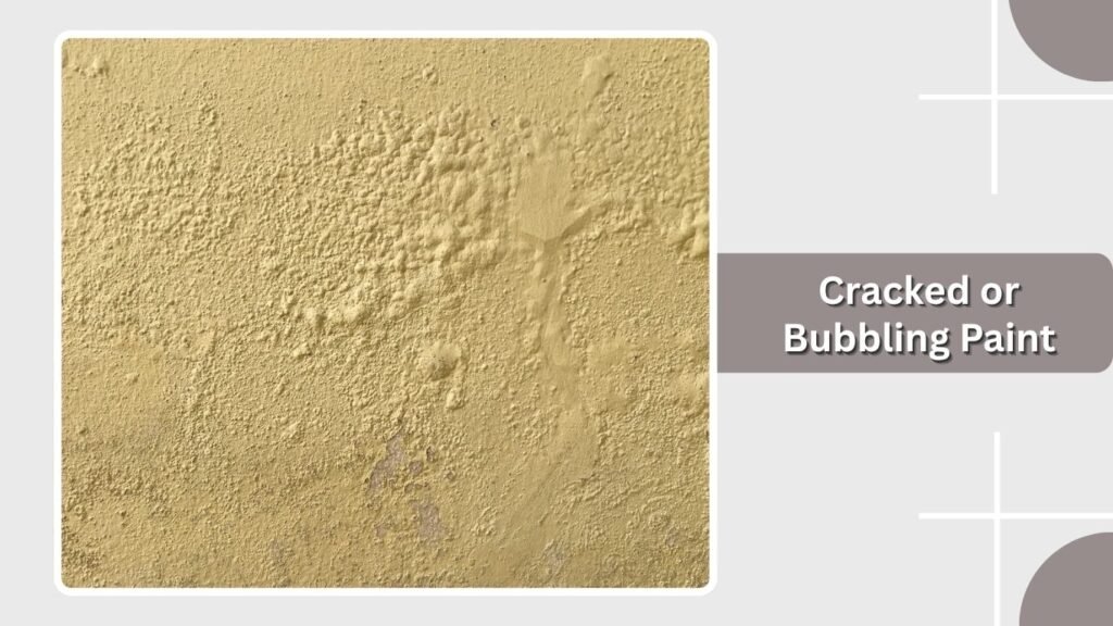  Cracked or Bubbling Paint