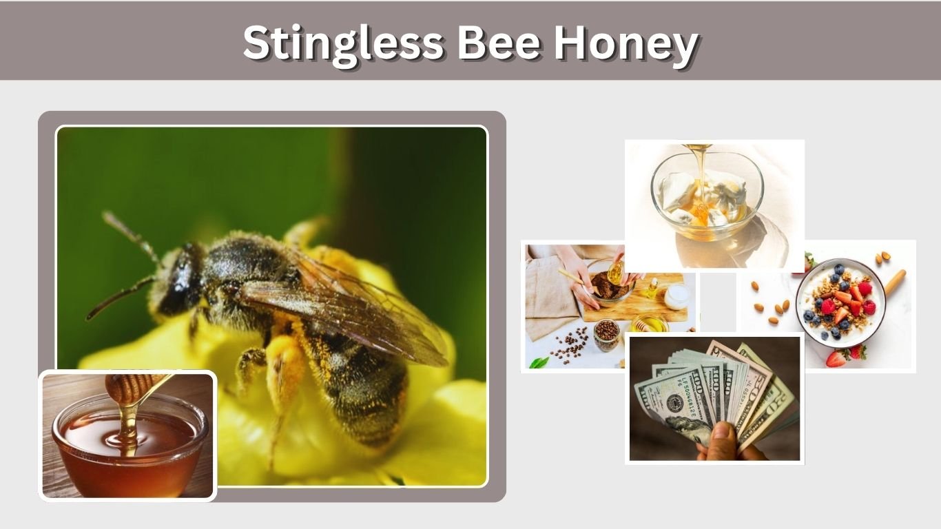 Stingless Bee Honey: Benefits, Taste, Uses & Side Effects