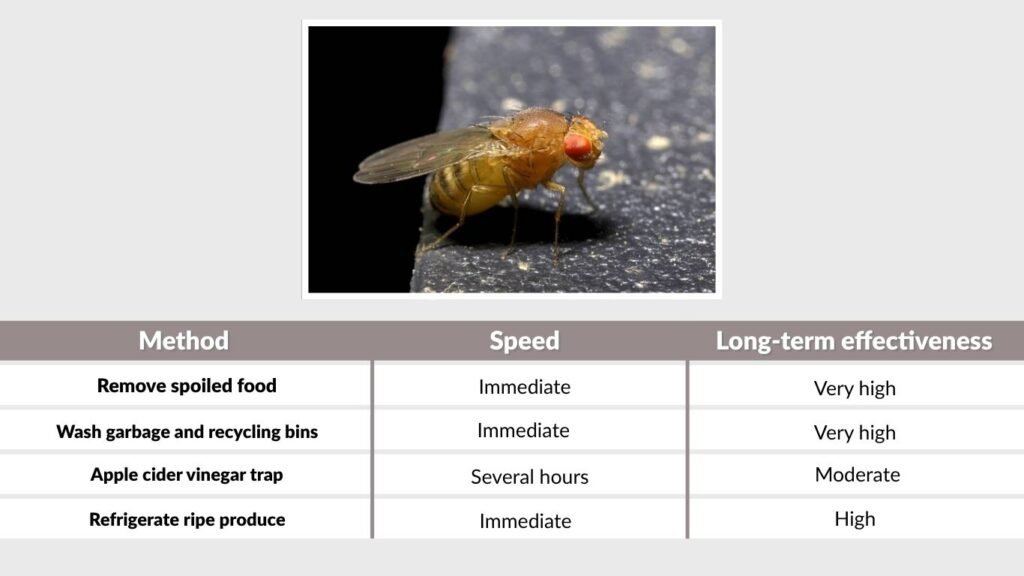 Best Fruit Fly Control Methods Compared