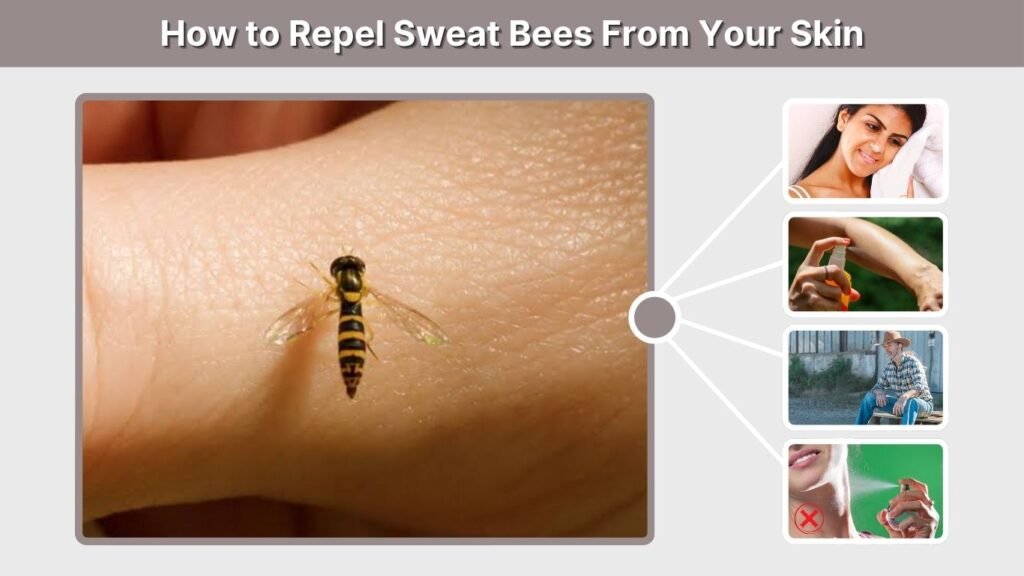 How to Repel Sweat Bees From Your Skin