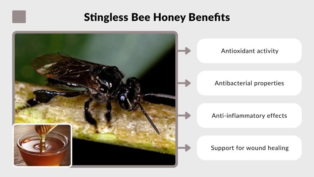 Stingless Bee Honey Benefits