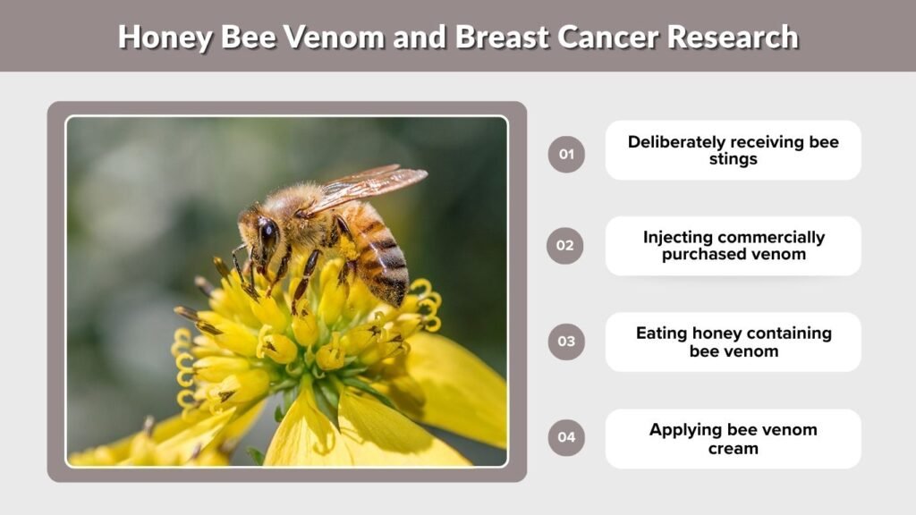 Honey Bee Venom and Breast Cancer Research