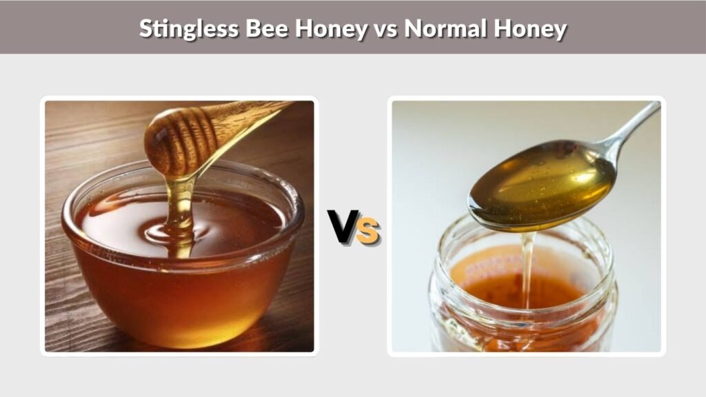 Stingless Bee Honey vs Normal Honey