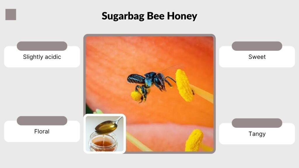 Sugarbag Bee Honey