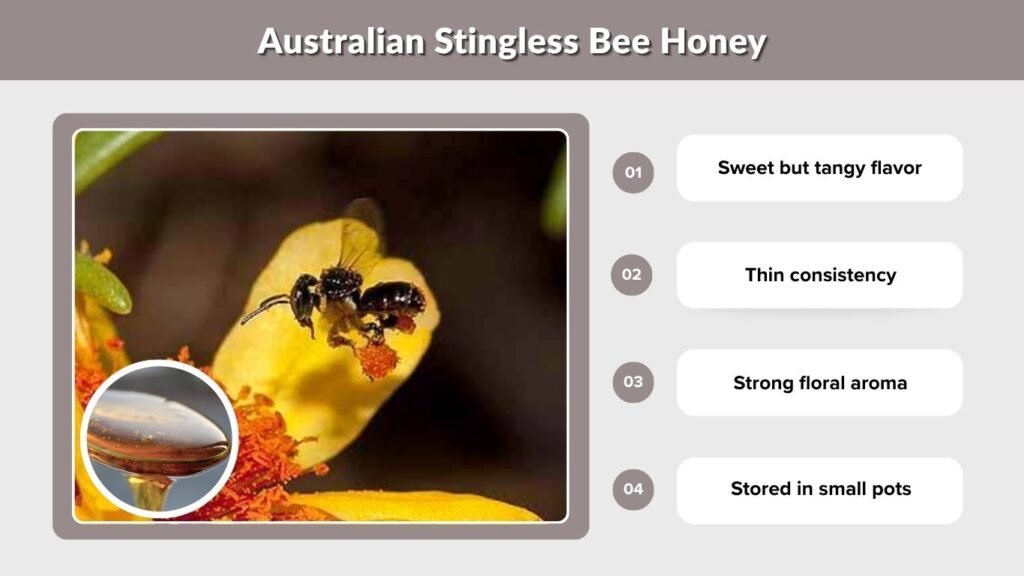 Australian Stingless Bee Honey