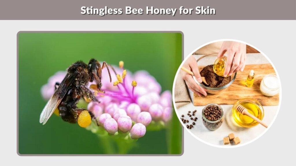 Stingless Bee Honey for Skin