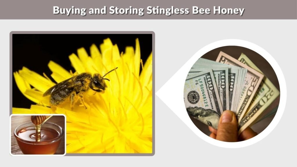 Buying and Storing Stingless Bee Honey