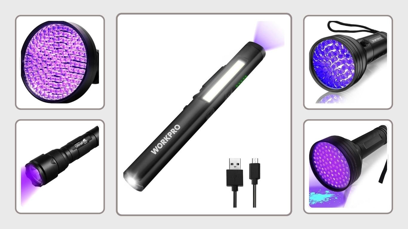 10 Best Pest Inspection Flashlights for Accurate Detection