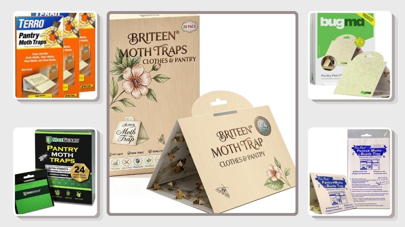 10 Best Pantry Moth Traps for Effective Moth Control