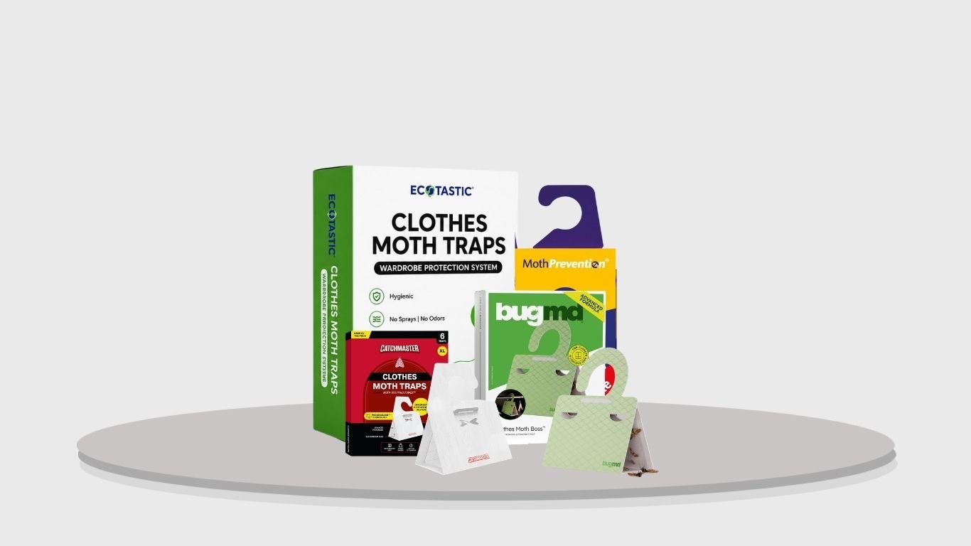 7 Best Sticky Moth Traps for Clothes, Closets & Pantry