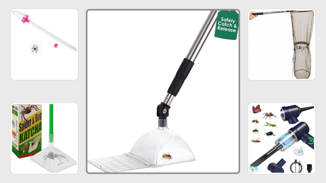 8 Best Insect Catching Kits for Safe Catch, Observe & Release