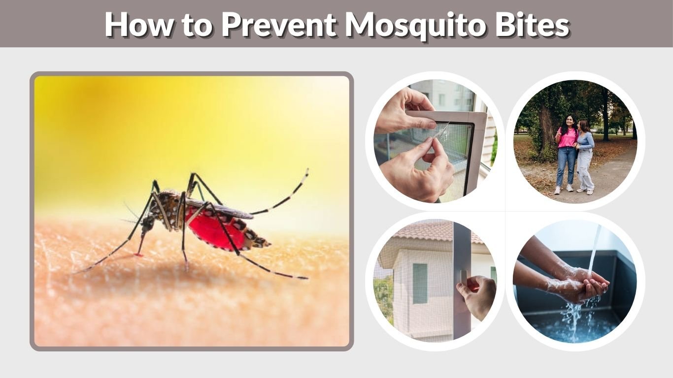 How to Prevent Mosquito Bites: Effective Protection Tips