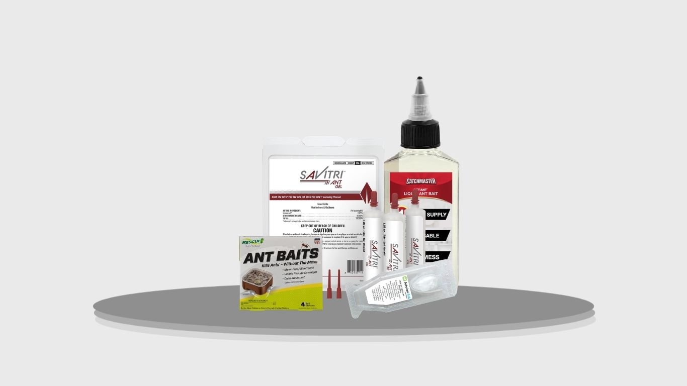 8 Best Ant Bait Traps for Kitchens, Bathrooms, and Homes