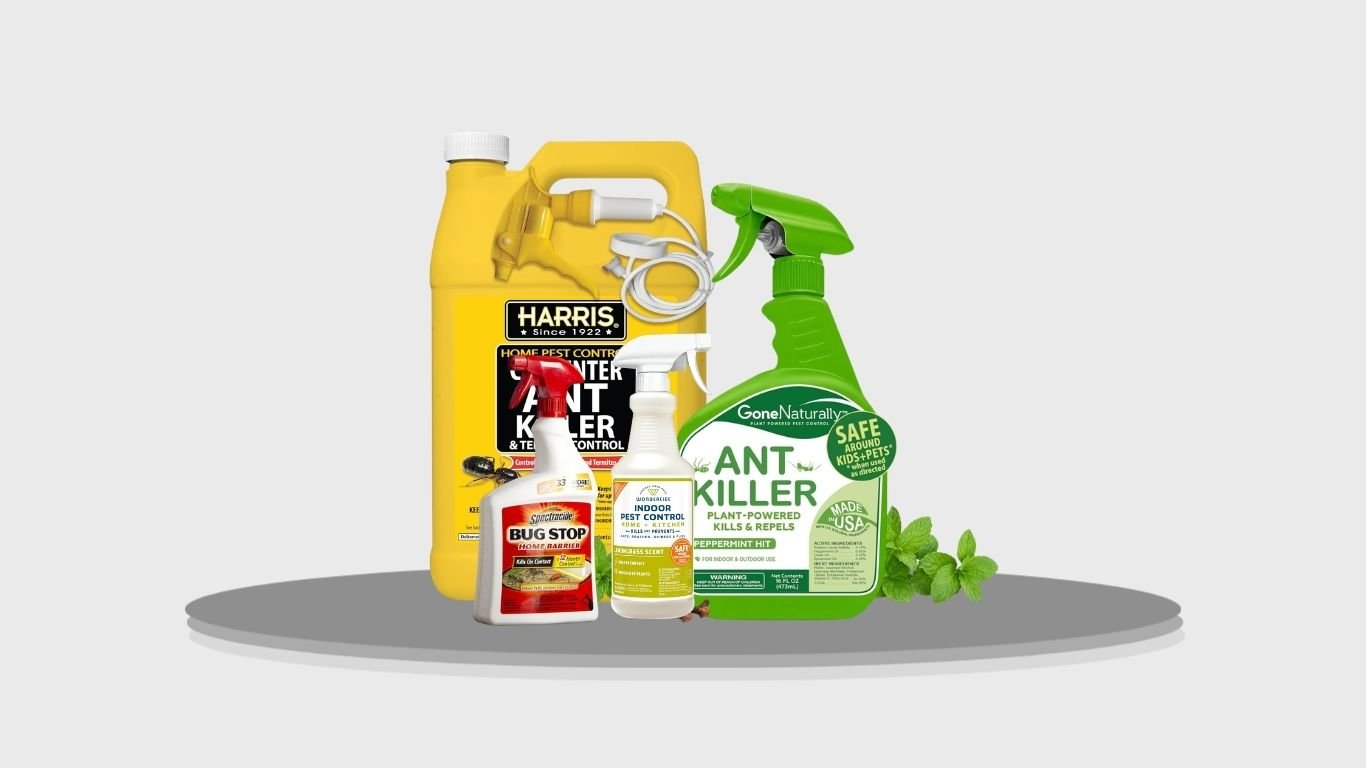 11 Best Ant Sprays for Fast and Effective Ant Control
