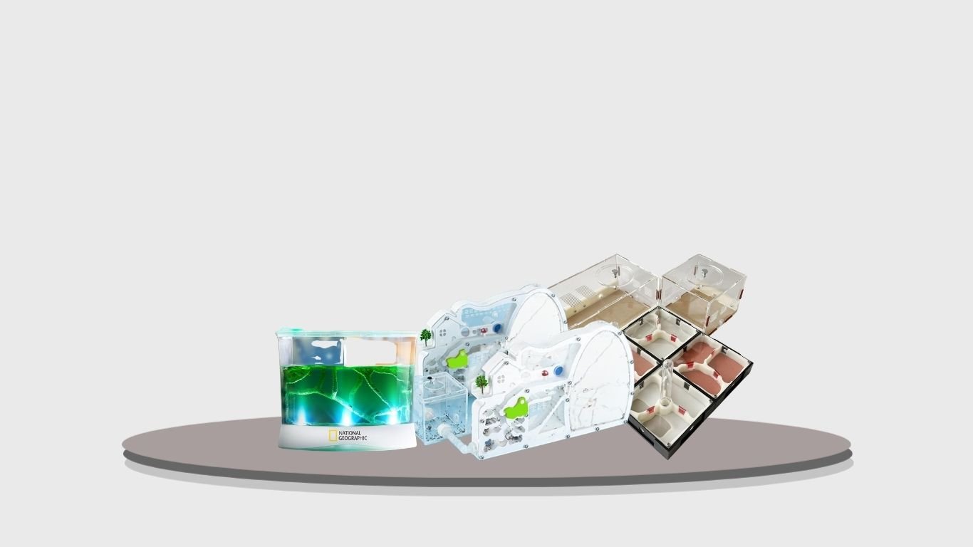 9 Best Ant Farm Kits for Kids, Learning, and Observation
